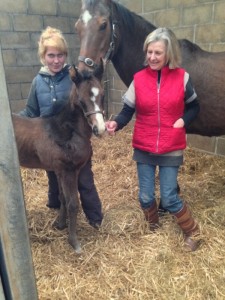 Mare with winning foal at 1 week old purchased by Linda bloodstock agent